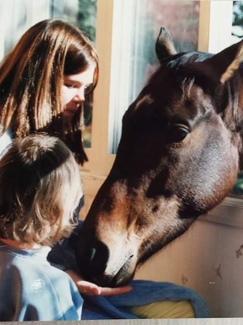 Two children feed a brown horse.