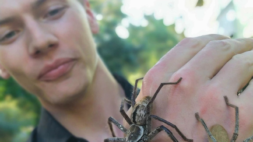 Young man with spiders on his hand.