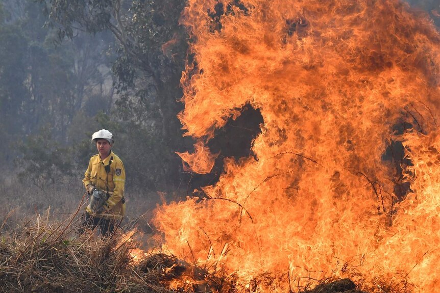 New South Wales Rural Fire Service firefighter is seen back burning on Long Gully Road in the northern New South Wales.
