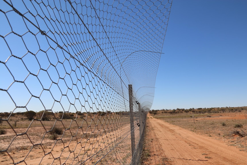 A wire fence with a curved top lines a dirt road against a blue sky
