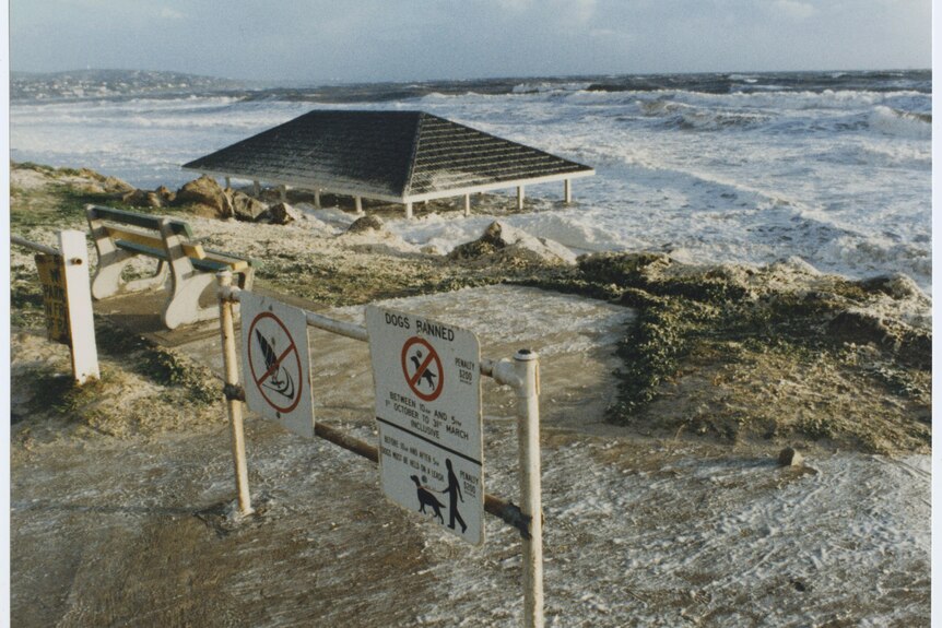 A beach shelter is almost submerged at high tide.