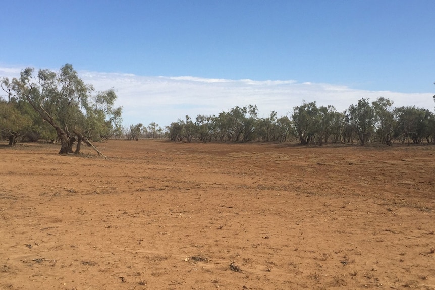 Drought-stricken land in Boulia in western Queensland