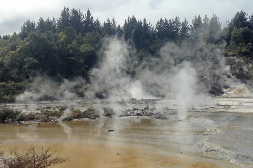 steam rises in a geothermal area of the New Zealand north island