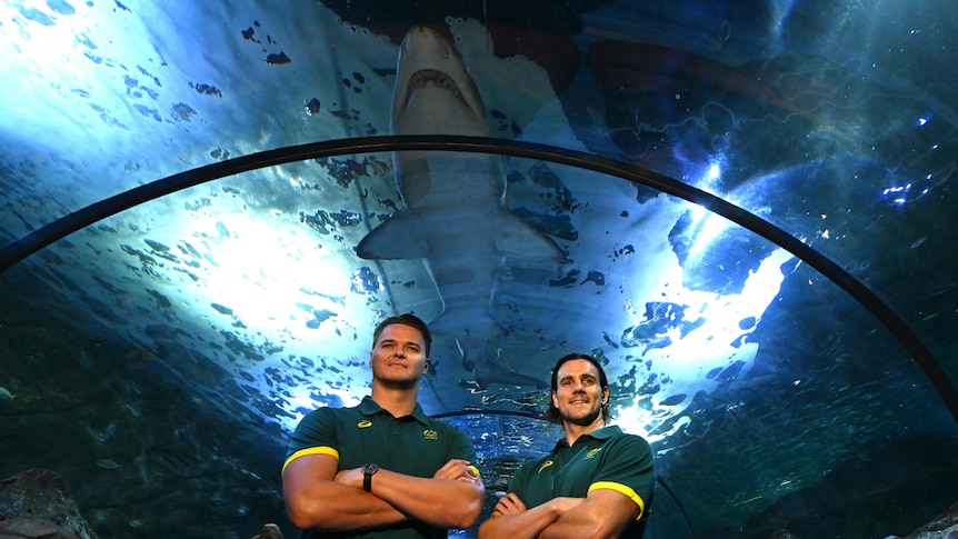 Two water polo players pose under a shark at a Sydney Aquarium 