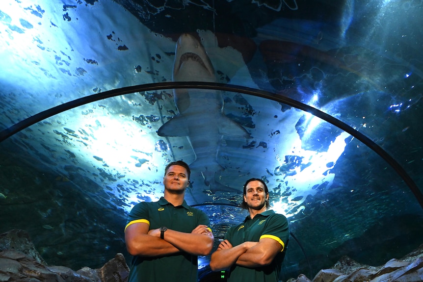 Two water polo players pose under a shark at a Sydney Aquarium 