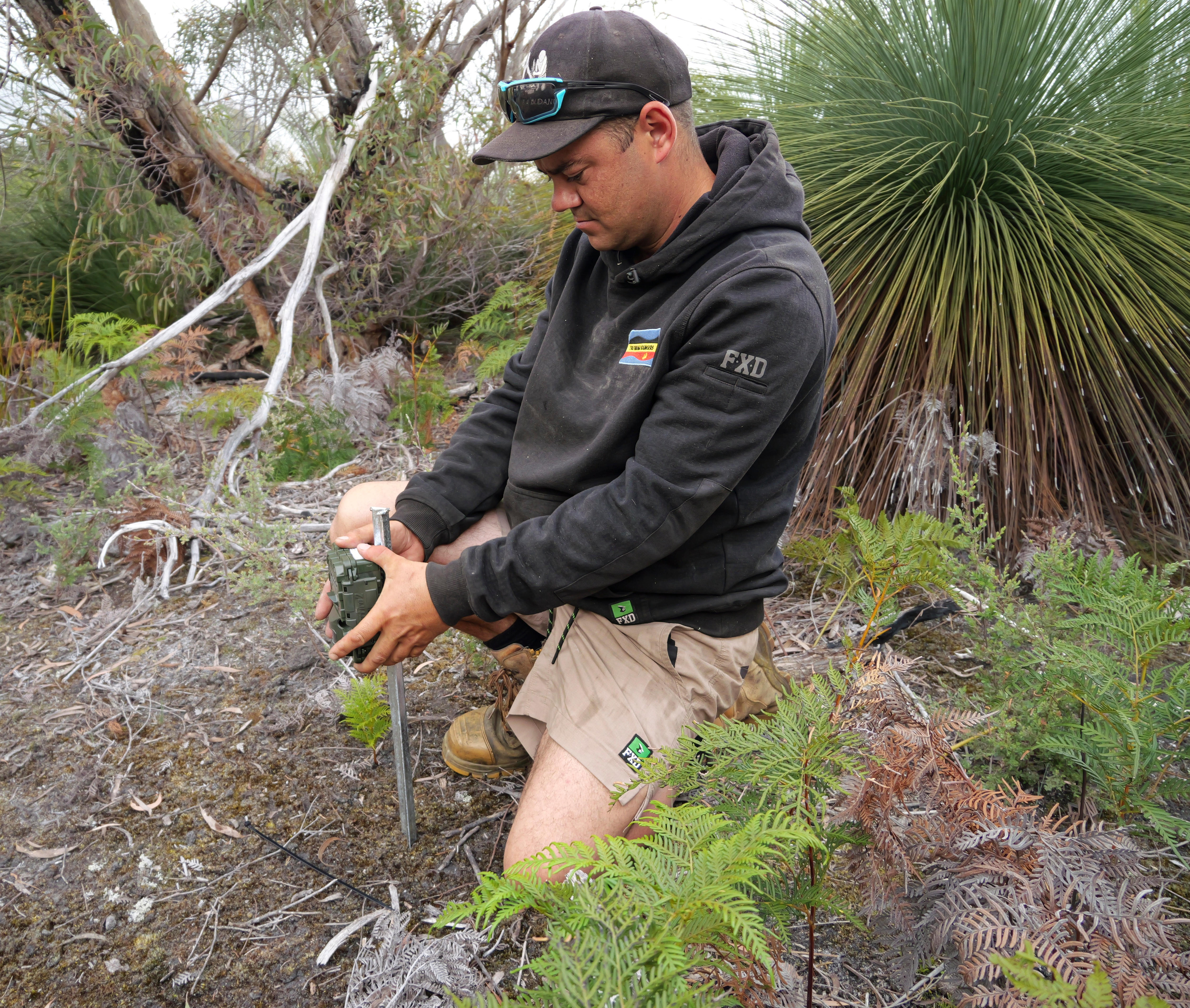 A man sets up a trail camera in the bush.