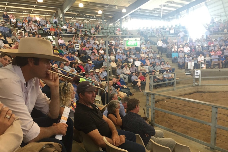 Farmers at the Parliamentary committee hearing near Rockhampton.JPG