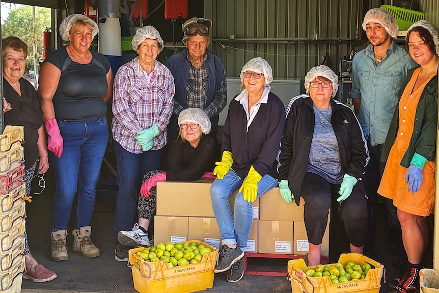 Group photo of people wearing hair nets in a fruit packing shed.