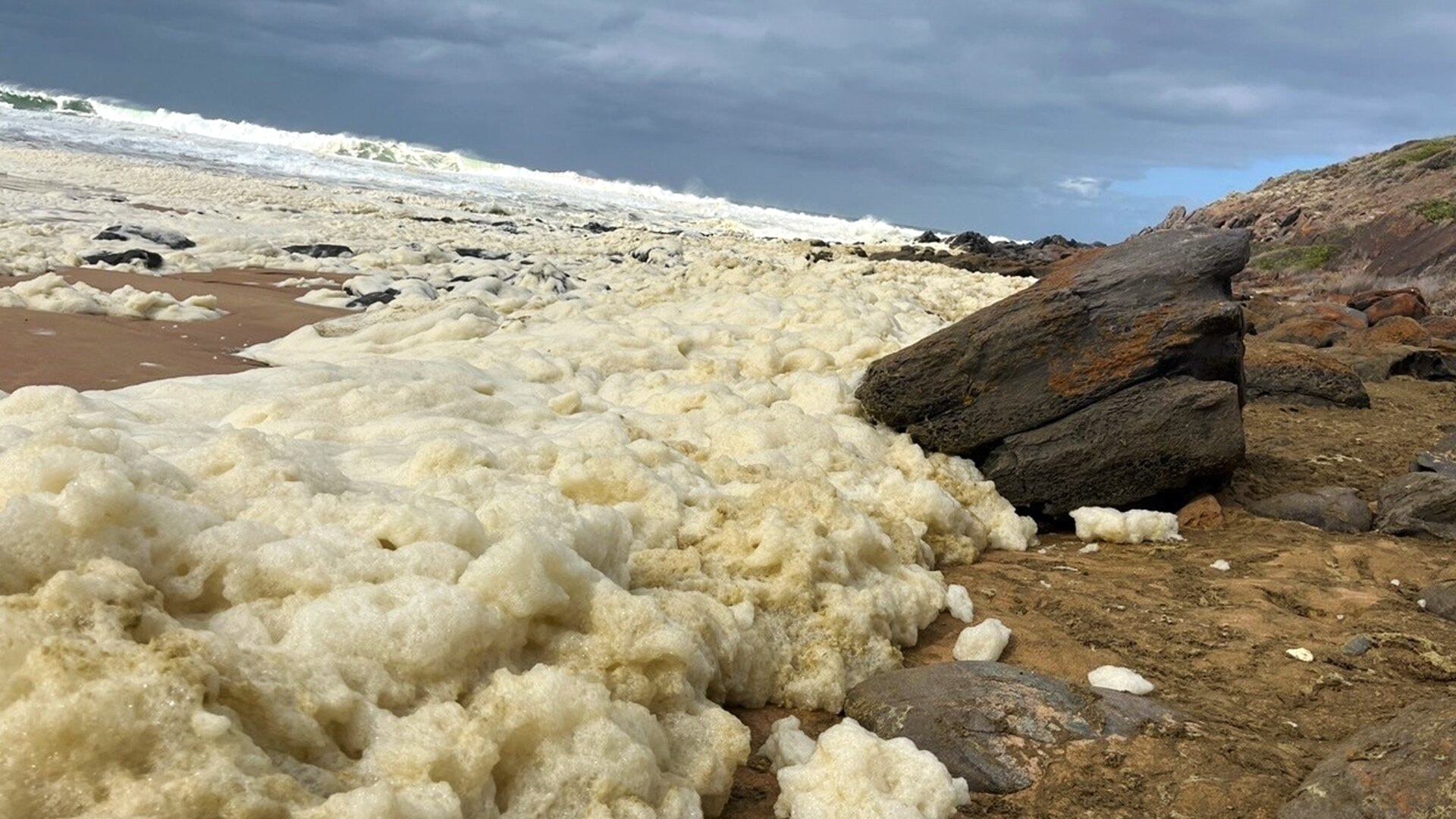 Green tinged sea foam washed up on the beach.