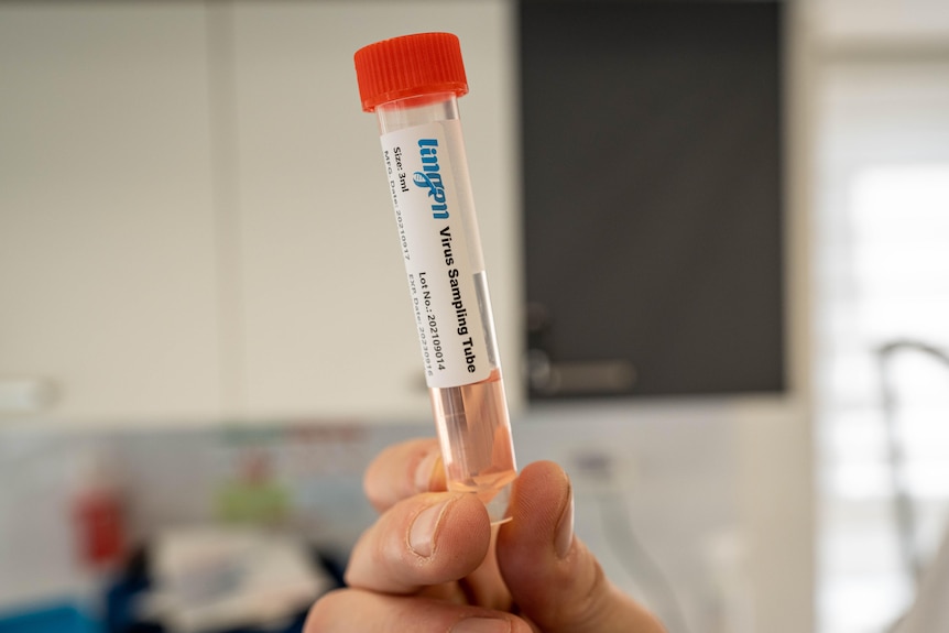 Plastic tube with red lid, with sticker reading" virus sampling tube" on the side 