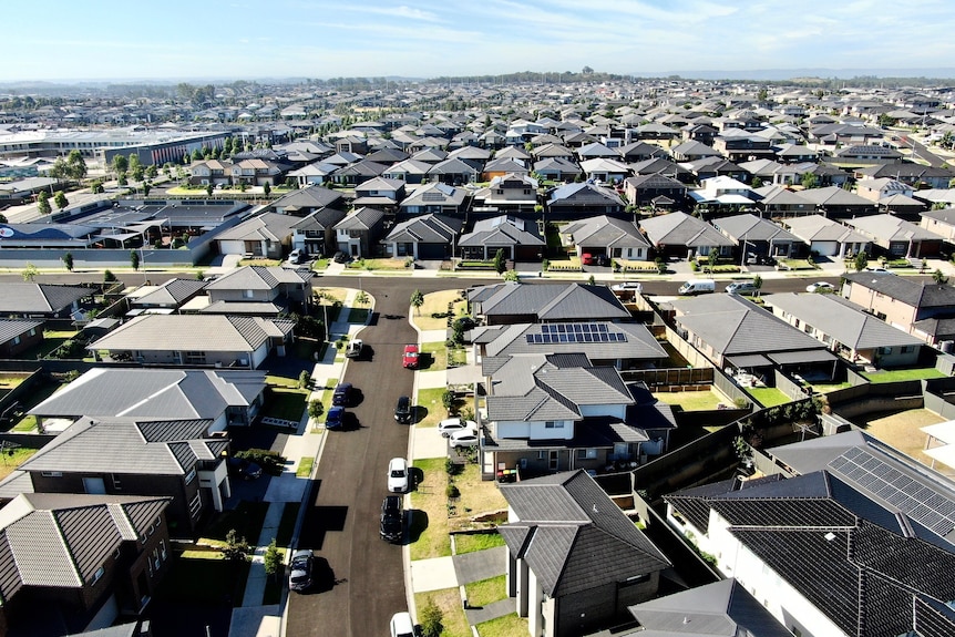 a skyline with houses