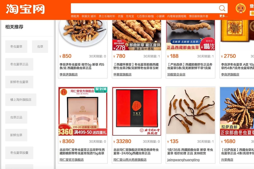 A screenshot of yarsagumba being sold on chinese online platform taobao