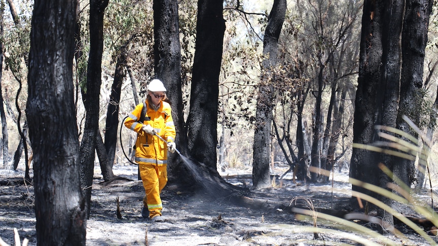 A person in an orange fire suit spraying a hose walking through burnt bushland