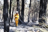 A person in an orange fire suit spraying a hose walking through burnt bushland