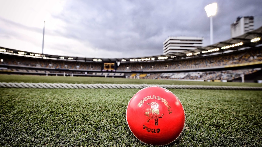 A pink ball during day-night Queensland v Western Australia Sheffield Shield match at the Gabba.