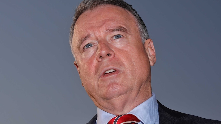 Labor's Joel Fitzgibbon speaking to media with a blue sky background