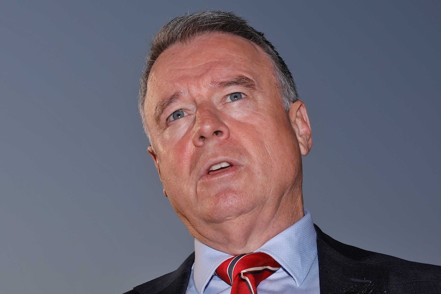 Labor's Joel Fitzgibbon speaking to media with a blue sky background