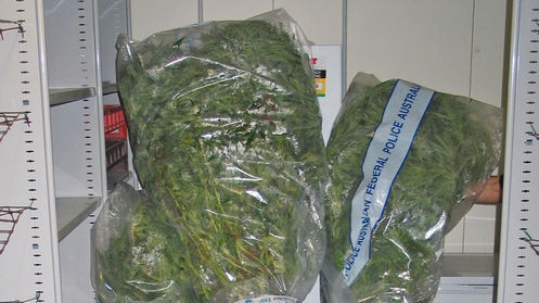 Cannabis seized by police.