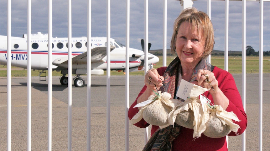 A woman wearing red smiling and holding the christmas pudding standing next to the plane.