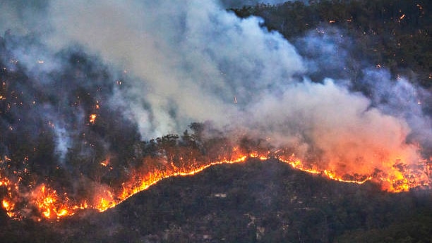 A line of flames marks the fire front of a bushfire in the Blue Mountains of NSW