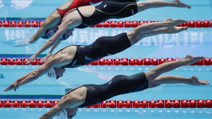 Four swimmers diving into a pool during a race.