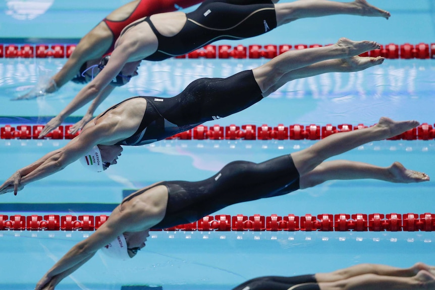 Four swimmers diving into a pool ahead of a race.