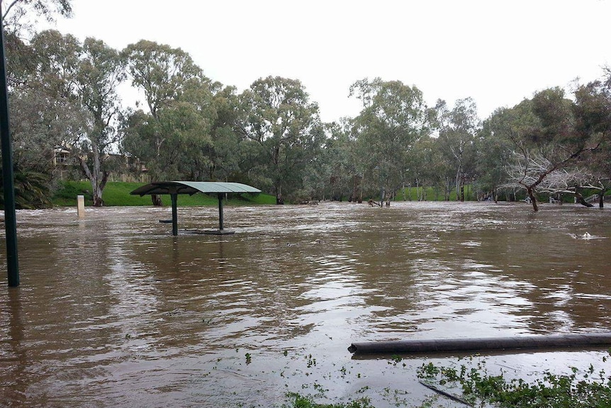 River Torrens floods at Vale Park