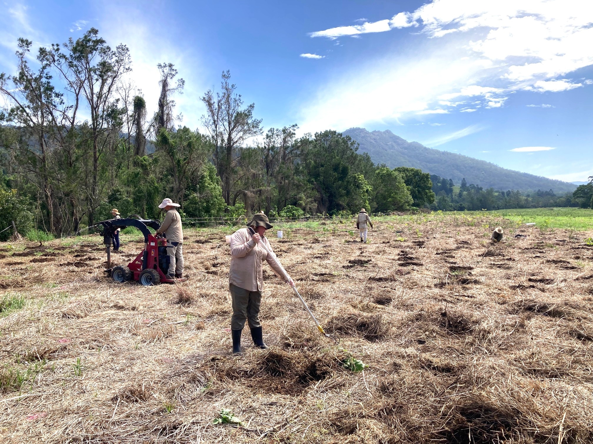 Two workers in the bush, tending the land.