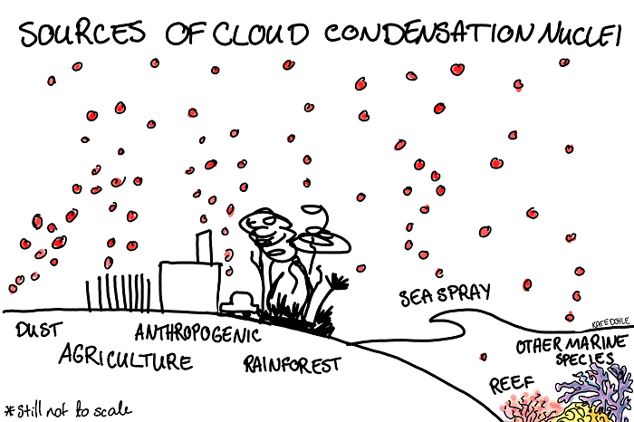 Drawing of dust, agriculture, anthropogenic aerosols, forests, sea spray, DMS and other sea aerosols