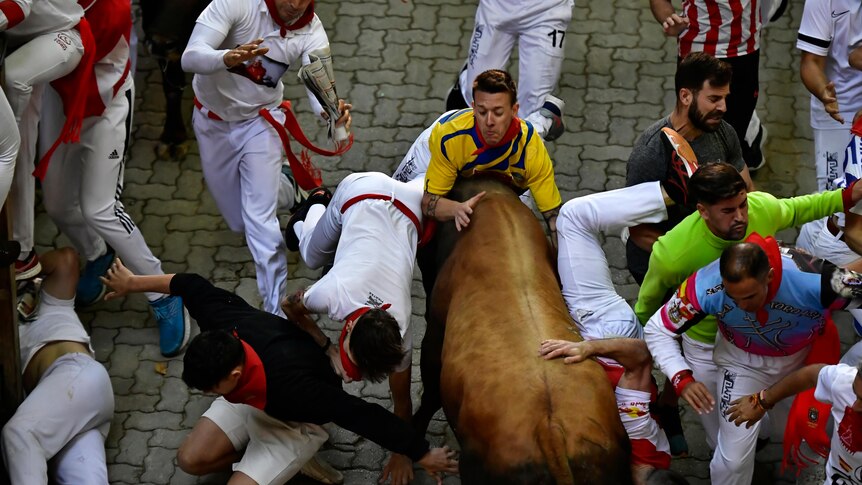 A man in a yellow shirt is gored by a brown bull at Pamplona in Spain