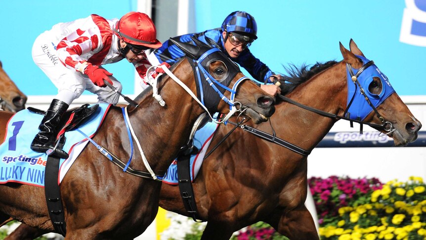 Buffering beats Lucky Nine to the line in the Manikato Stakes