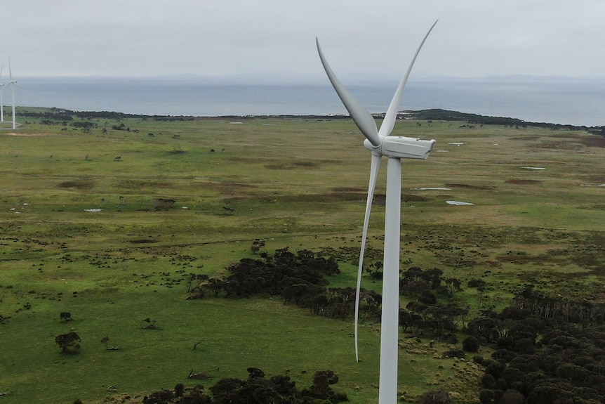 Wind turbines in open paddock land.