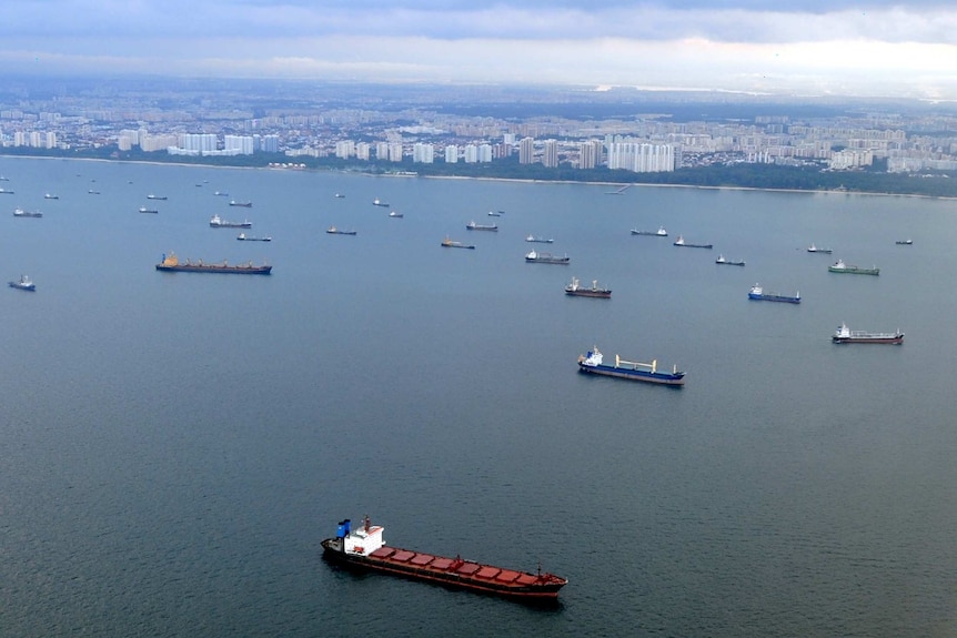 A sea with many cargo ships anchored in front of a city