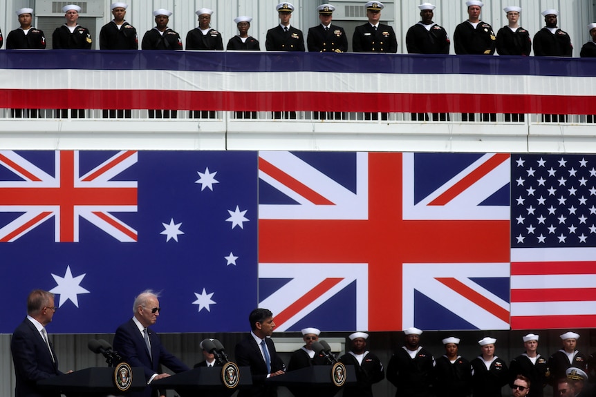 Anthony Albanese, Joe Biden and Rishi Sunak give lectures under their respective national flags