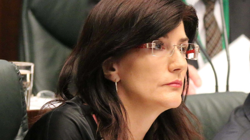 Human Services Minister Jacquie Petrusma was accused by Cassy O'Connor of needing a "bouncer".