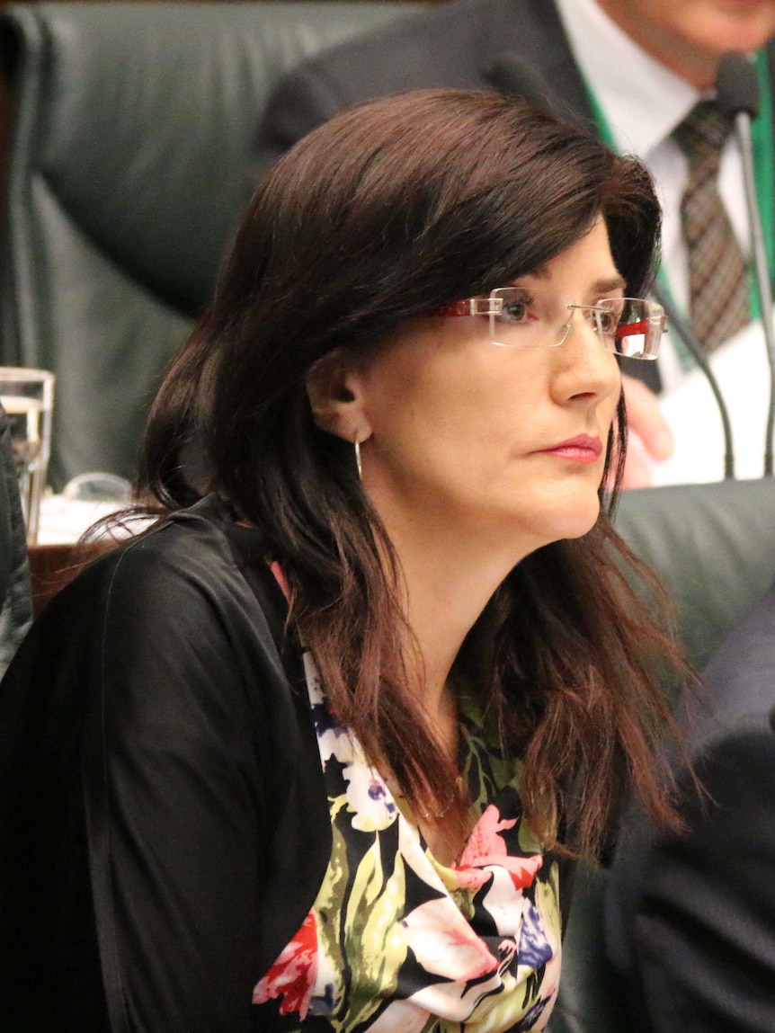 Tasmanian Human Services Minister Jacquie Petrusma in state parliament.