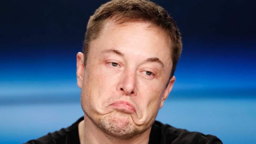 Elon Musk looking skeptical