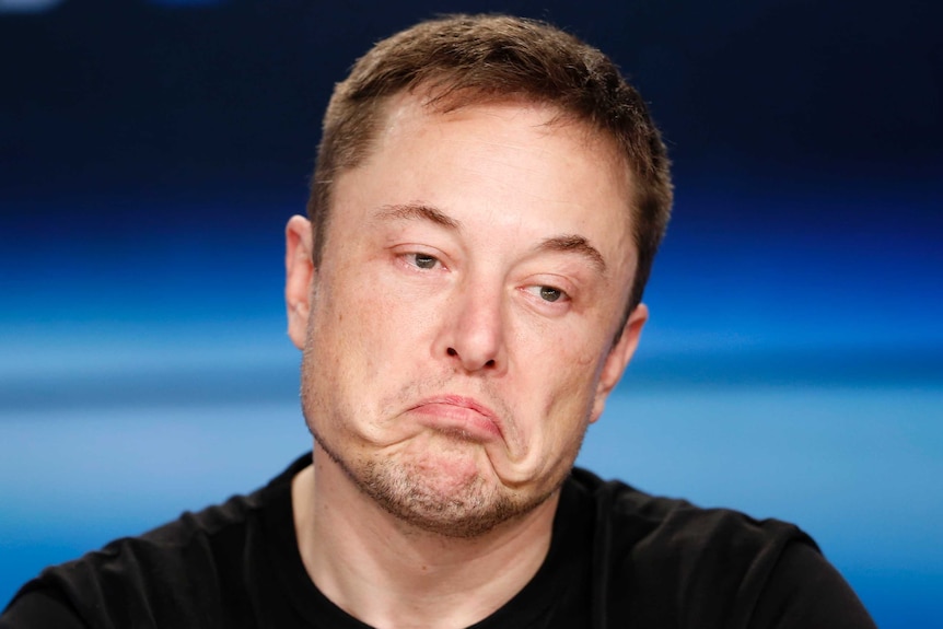 Elon Musk looking skeptical