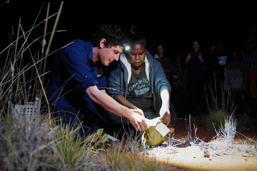 Caucasian man in blue shirt and Indigenous woman hold a pouch, spotlit in the darkness, grass in front, two people stand behind.