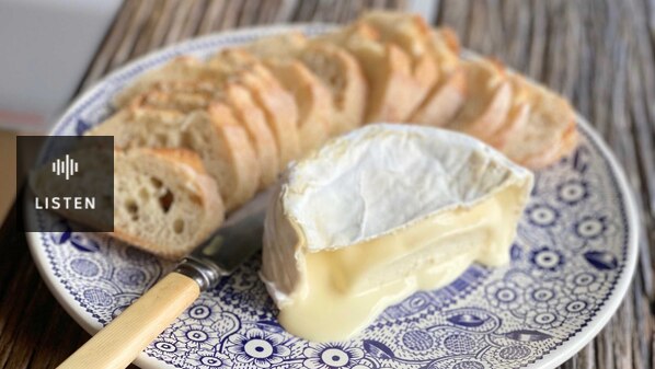 Camembert cheese on a plate. Has Audio.