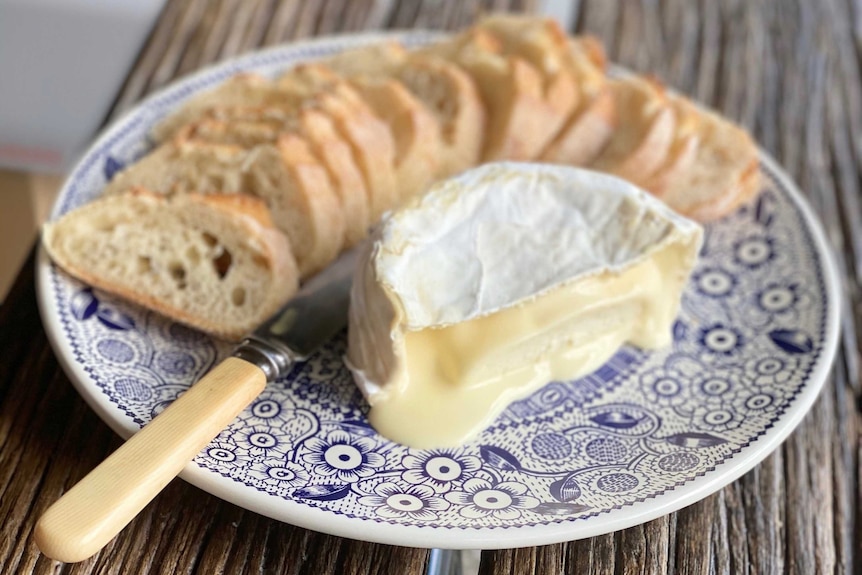 Camembert cheese on a plate