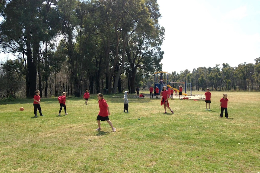 Students play on grass and a playground at Yarloop Primary School.