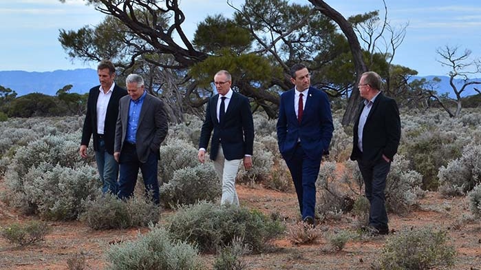 Five men in suits walk through the saltbush on a red sand landscape with a mountain range in the background and an overcast sky.