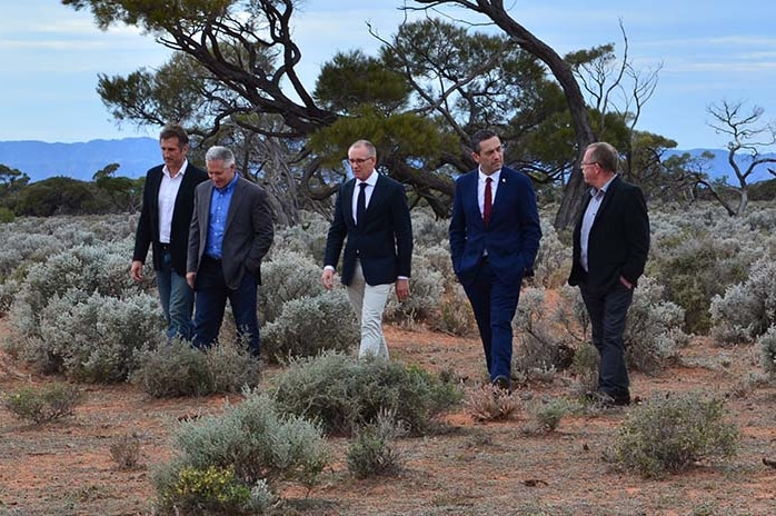 Five men in suits walk through the saltbush on a red sand landscape with a mountain range in the background and an overcast sky.