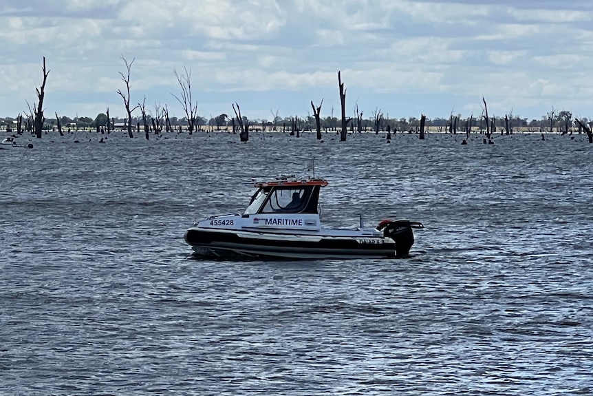 A maritime safety authority vessell on the lake with trees jutting out of the water in the background.