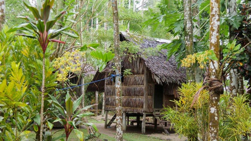 A traditional home in Tulu on Manus Island, 2018.