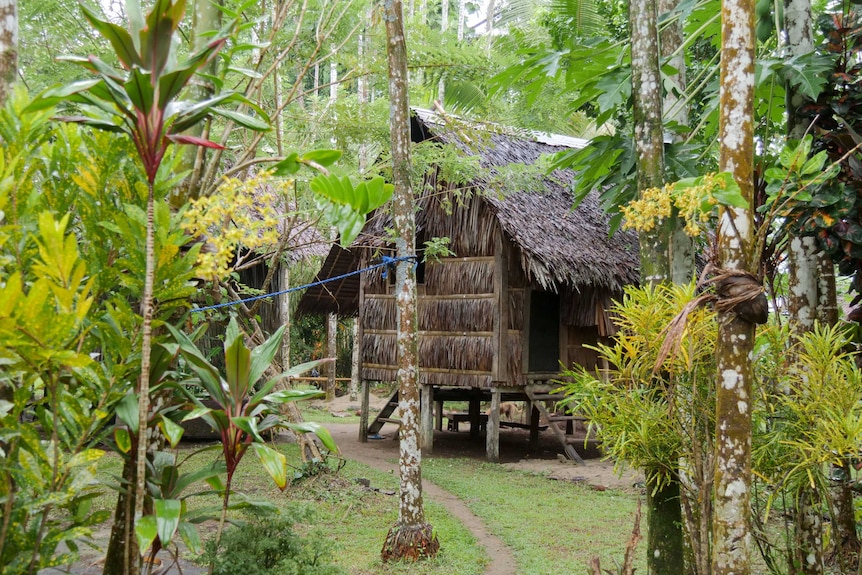 A traditional home in Tulu on Manus Island.