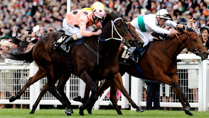 Black Caviar has not raced since winning the Diamond Jubilee Stakes at Royal Ascot.