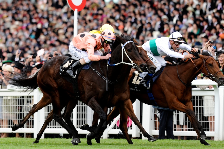 Black Caviar wins The Diamond Jubilee Stakes