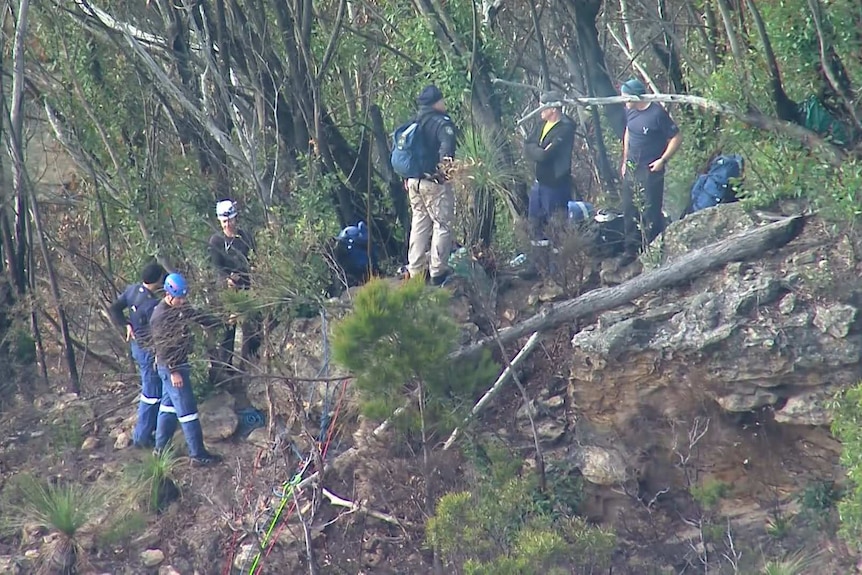 A rescue team stand in thick dense bush
